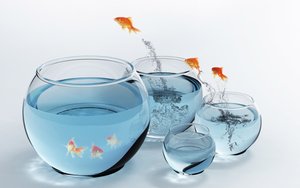 保险理赔怎么用？新手必看的完整指南